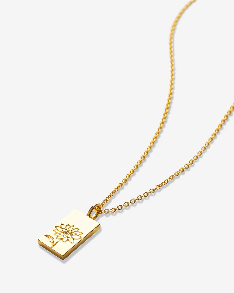 Chasing Light Necklace