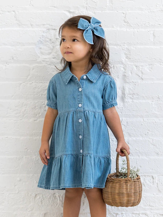 Pippa Chambray Short Sleeve Shirt Dress